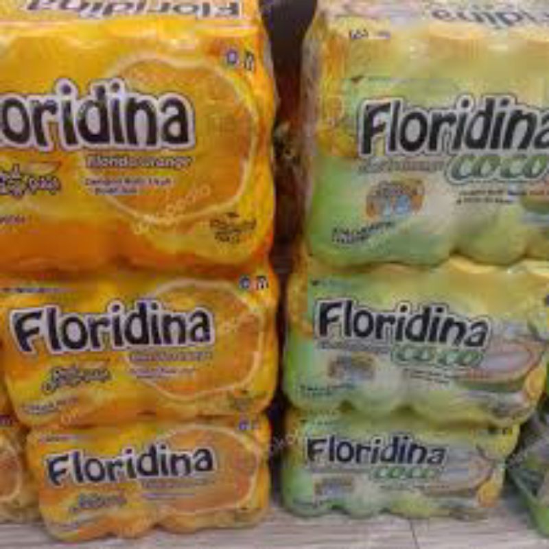 

Floridina Minuman Jeruk 1 Pack Isi 12 Pcs
