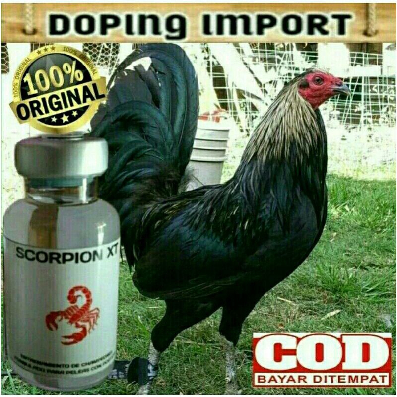 DOPING AYAM TAJI