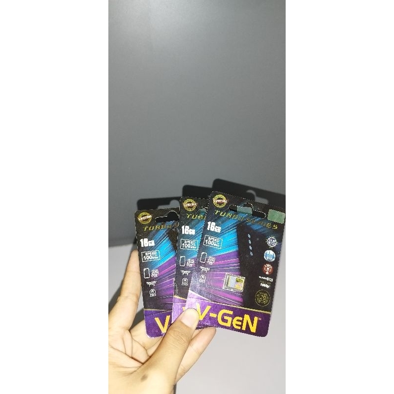 KARTU MEMORI CCTV HP VGEN 16GB