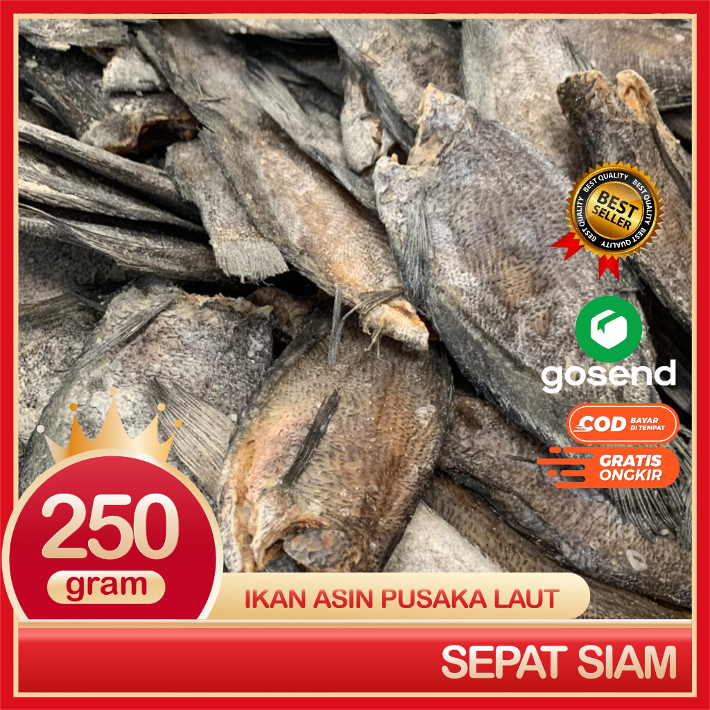

JKL Sepat Siam Ikan Asin Sepat Super Bersih Dan Segar 250 Gram