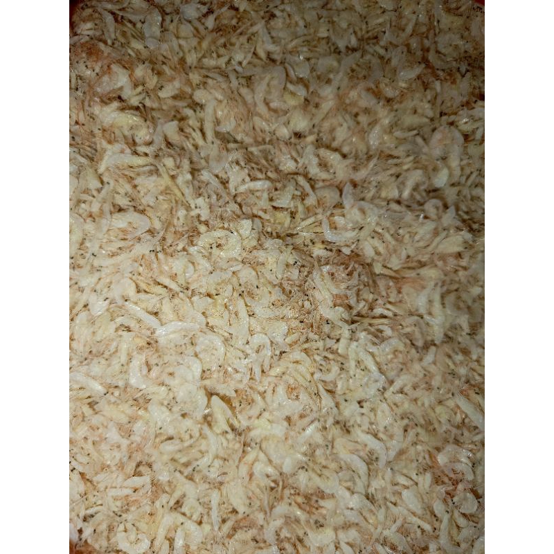 

Udang Rebon