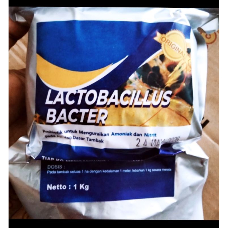 Lactobacillus 1 kg Probiotik Ikan dan Udang
