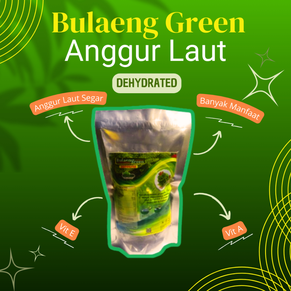 

Anggur Laut DEHYDRATED 1 Kg / Lawi-Lawi / Lato / Sea Grape / Green Caviar