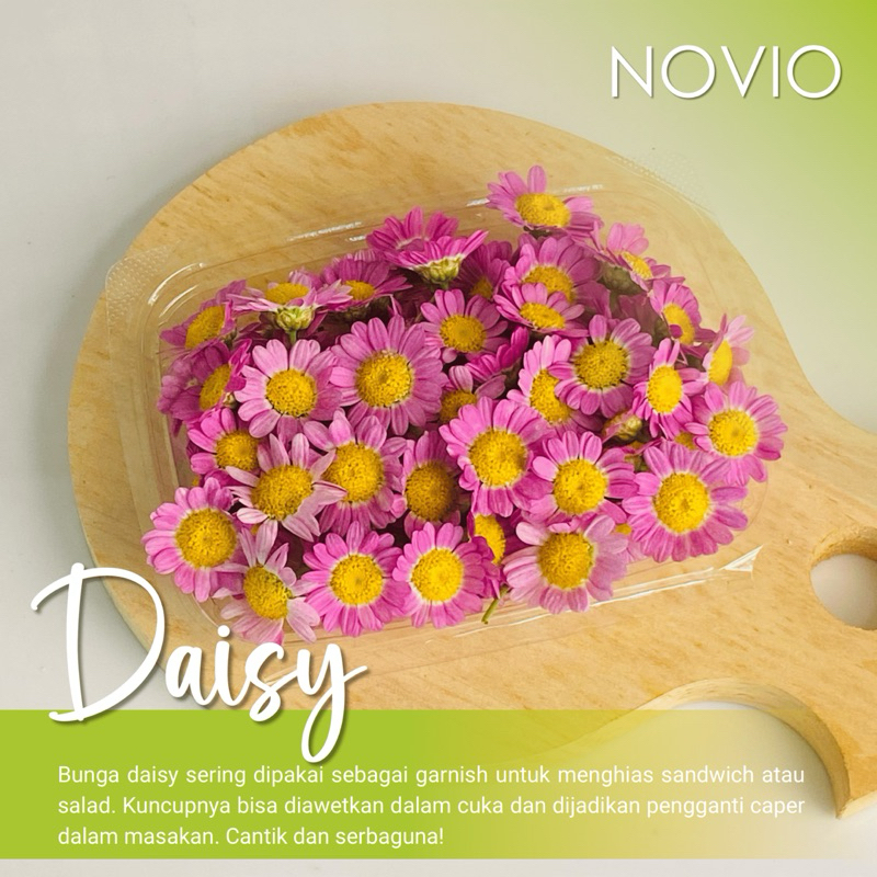 

Bunga Daisy / Edible Flower / Fresh