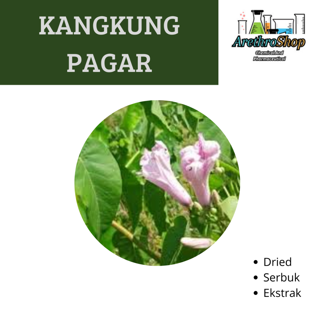 

SERBUK DAN DRIED KANGKUNG PAGAR BEST PRODUCT