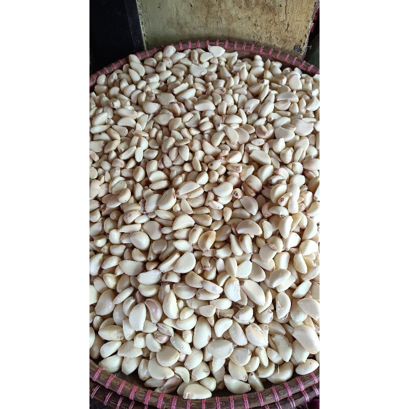 

bawang putih kupas kulit bersih / bawang putih
