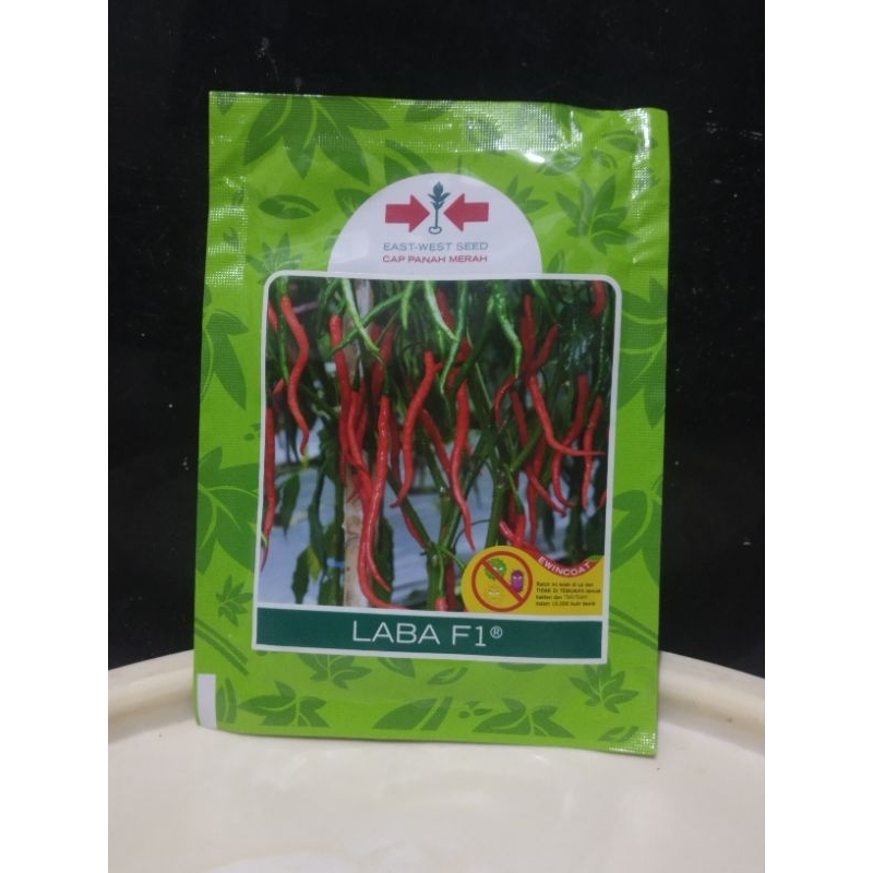 cabe keriting varietas Laba f1