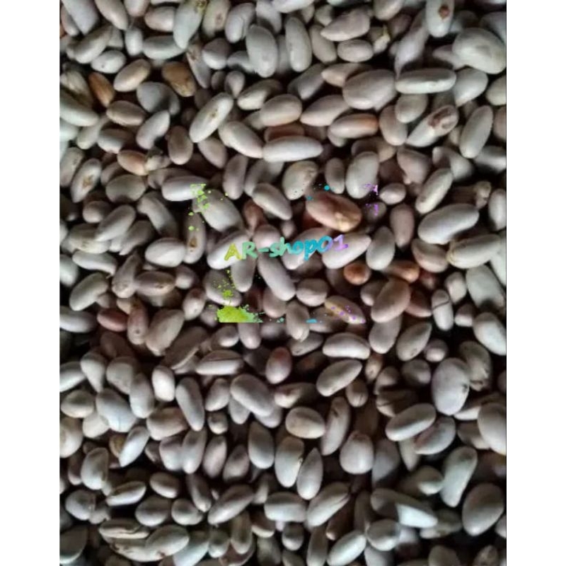 

biji nangka fress per 1kg