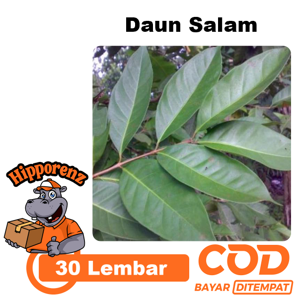

Daun Salam 30 Lembar Rempah Segar