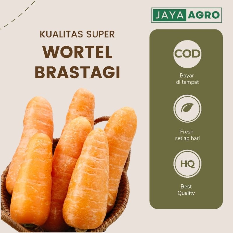 

Wortel Brastagi 1KG TERMURAH kualitas supermarket COD