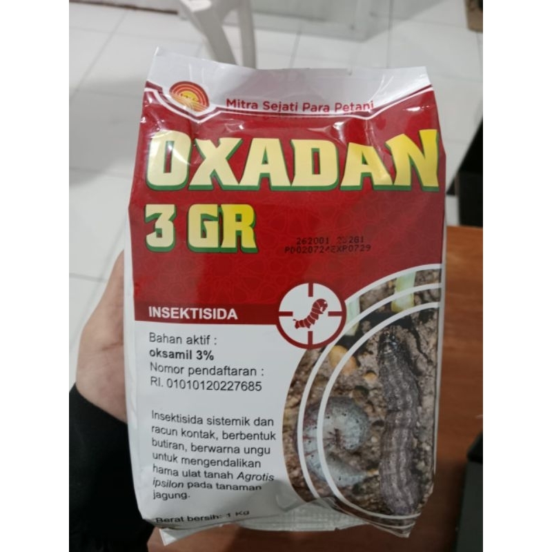 Insektisida Oxadan 2kg - Pembasmi Hama Ulat Pada Tanaman Jagung