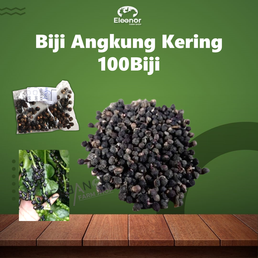 

Biji Angkung Kering Buah Angkung Kering isi 100Biji