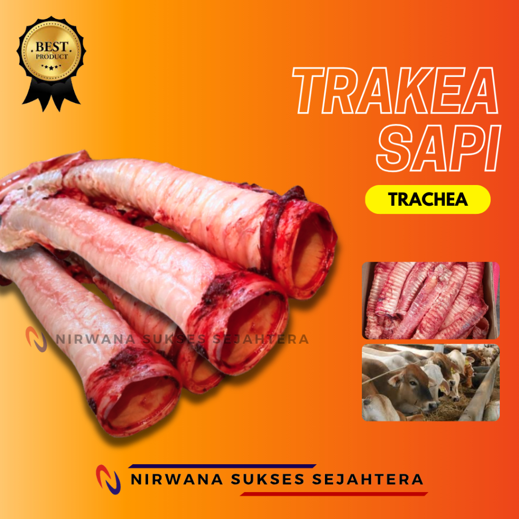 

KERONGKONGAN, TRAKEA SAPI / COW TRACHEA