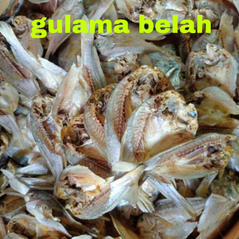 

ikan gulama belah
