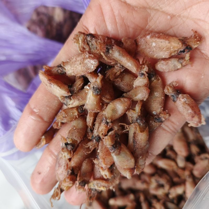 

Baby Cumi Medan Premium 0.5-2cm