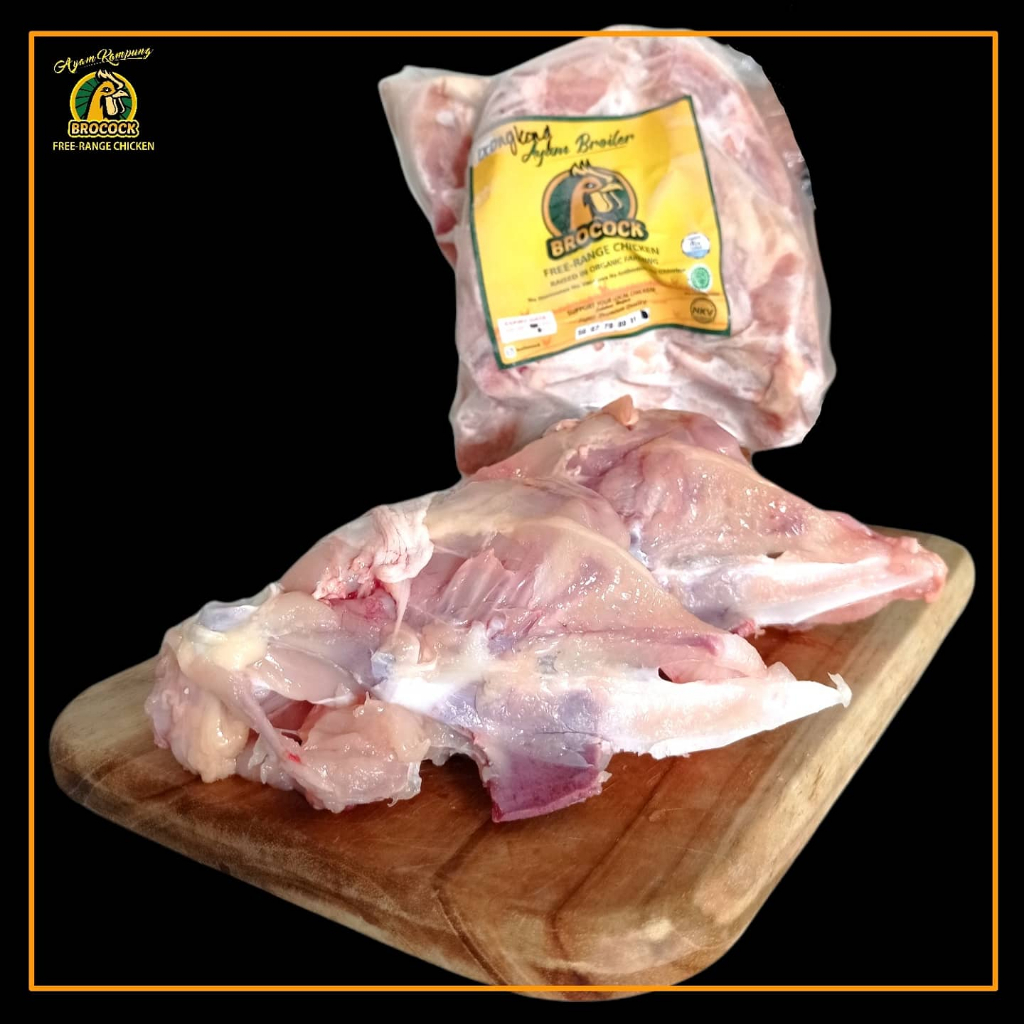 

Ayam Broiler Brocock Rongkong