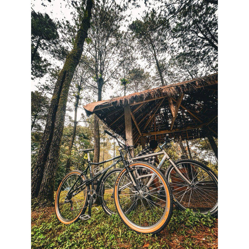 Sepeda Haro Elevated