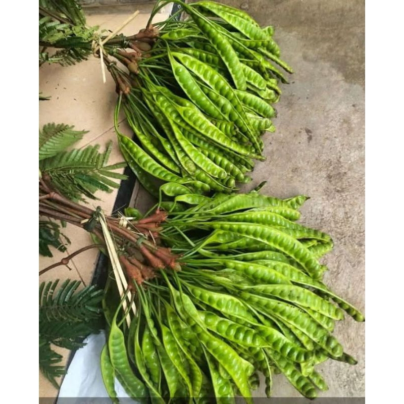 

Pete super pete fress lalapan 1 iket isi 10 pcs