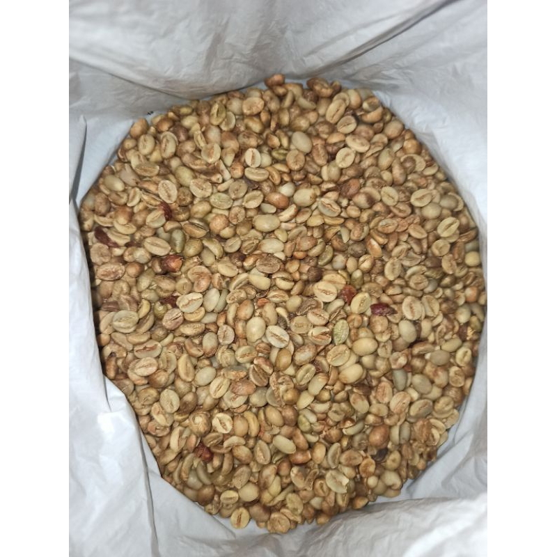 

BIJI KOPI ROBUSTA MURNI 1KG KUALITAS GRADE A+