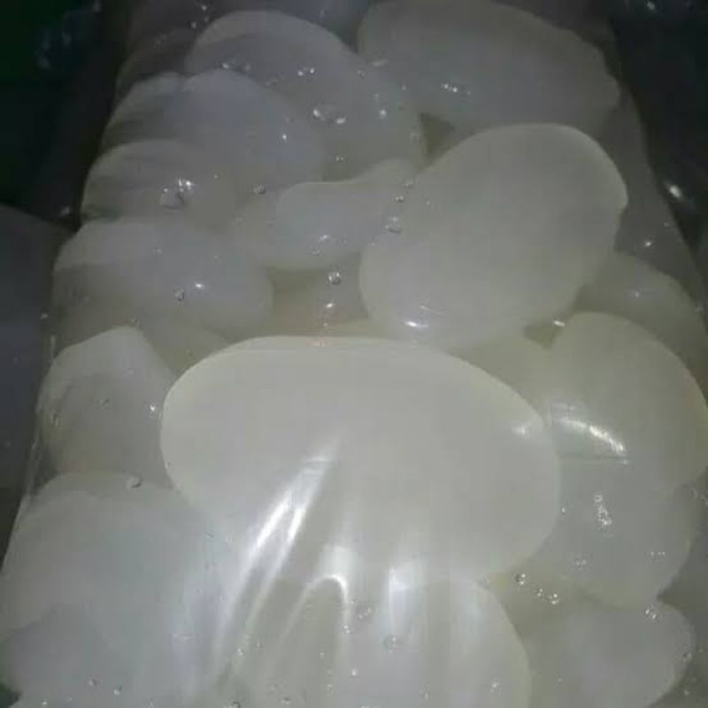 

Kolang Kaling super fresh pilihan ukuran 1kg free ongkir