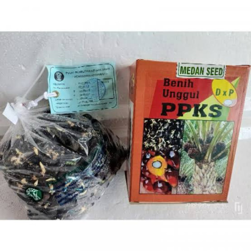 Bibit Sawit Unggul Bersertifikat Simalungun