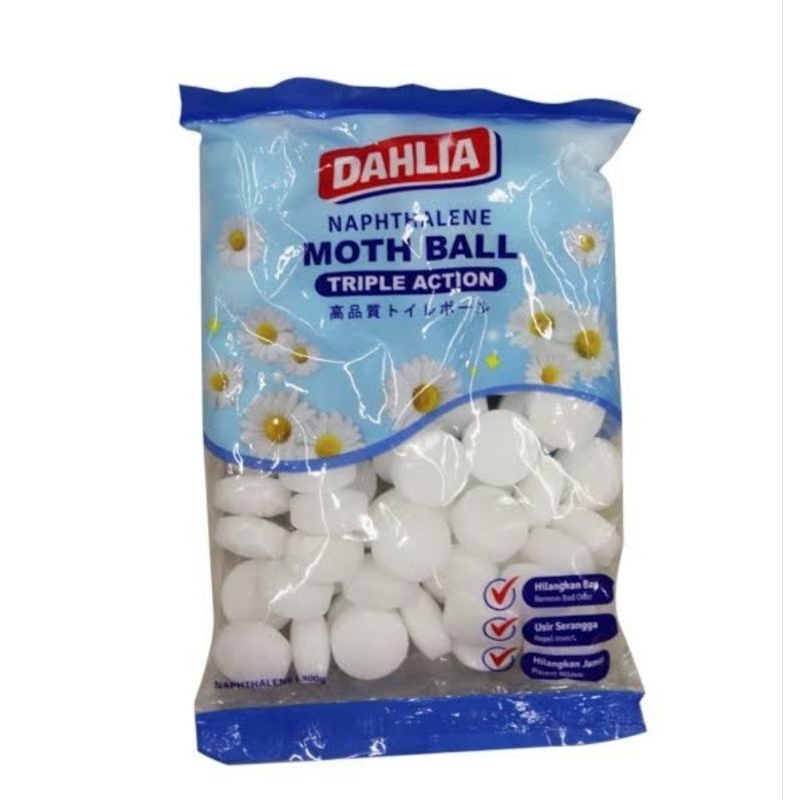 Dahlia Kapur Barus Kamper Putih