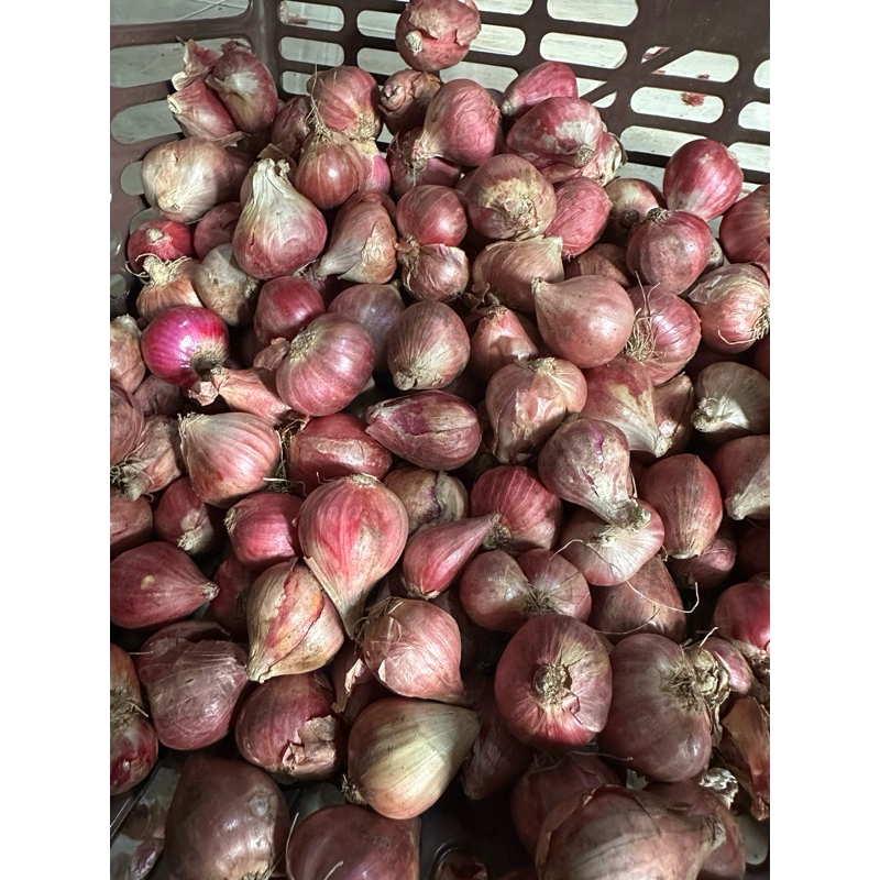 

[khusus kirim instant] bawang merah super 200gr