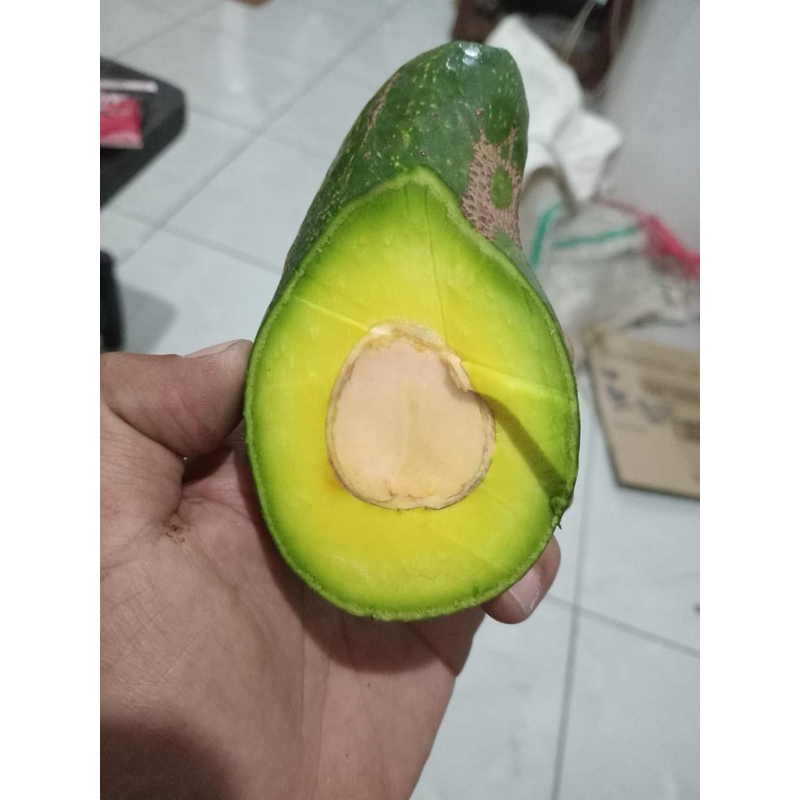 

Alpuket Mentega Kualitas Super 1Kg/3Biji Pulen enak pokok nya