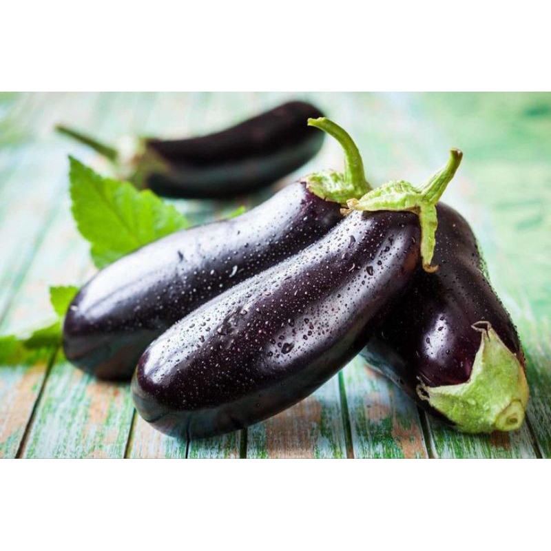 

1kg terong ungu segar fresh
