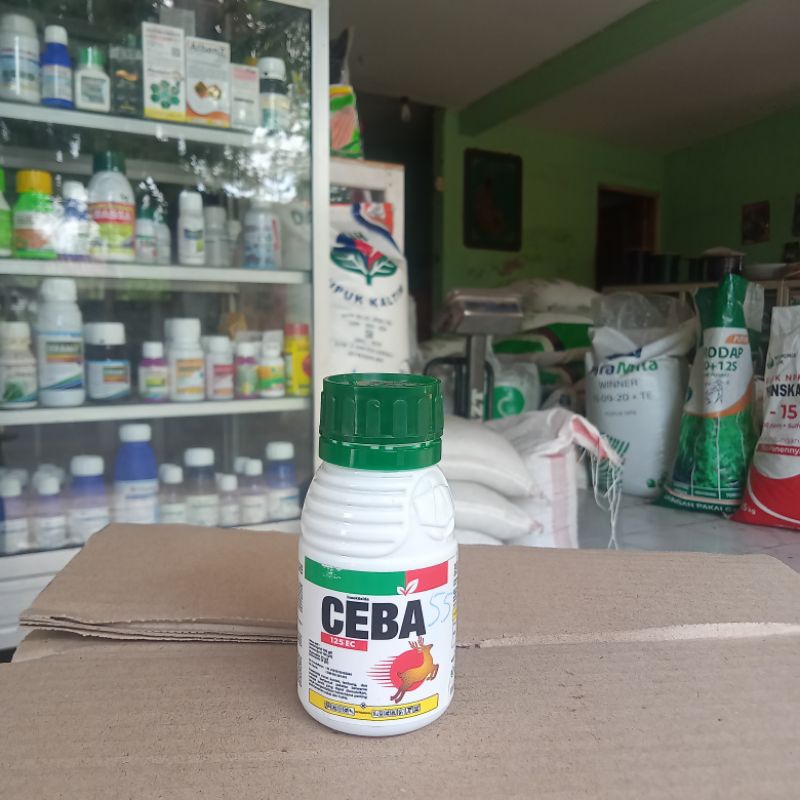 Ceba 125EC 100ml (Asetamiprid 100g/l + Abamectin 25g/l)