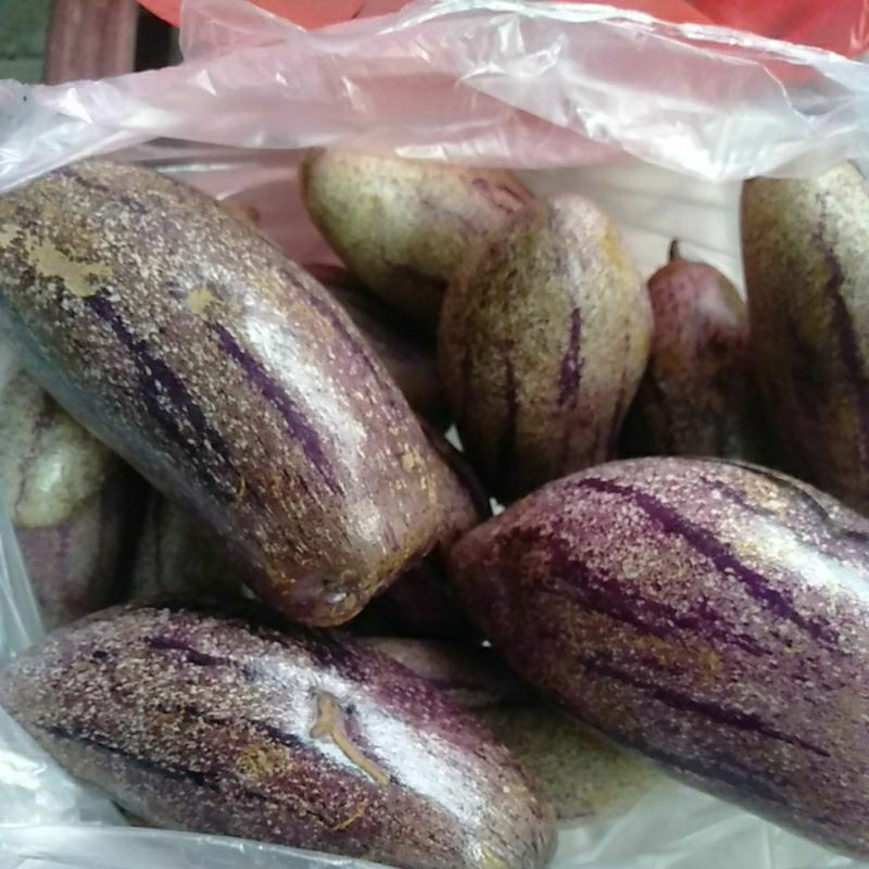 

Buah Pepino Papino segar