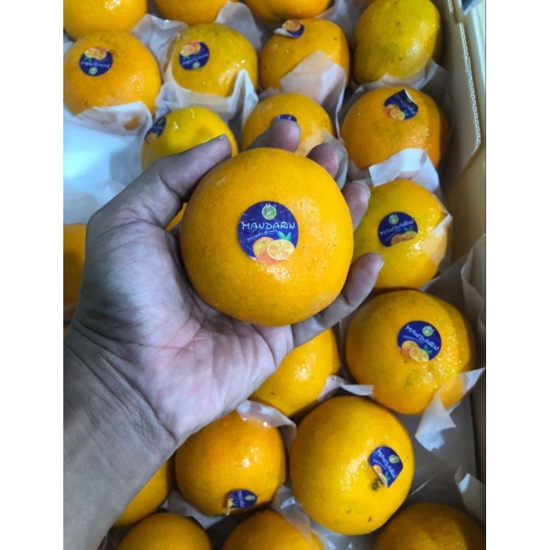

Jeruk Wogam Mandarin 1 kardus 8 kg