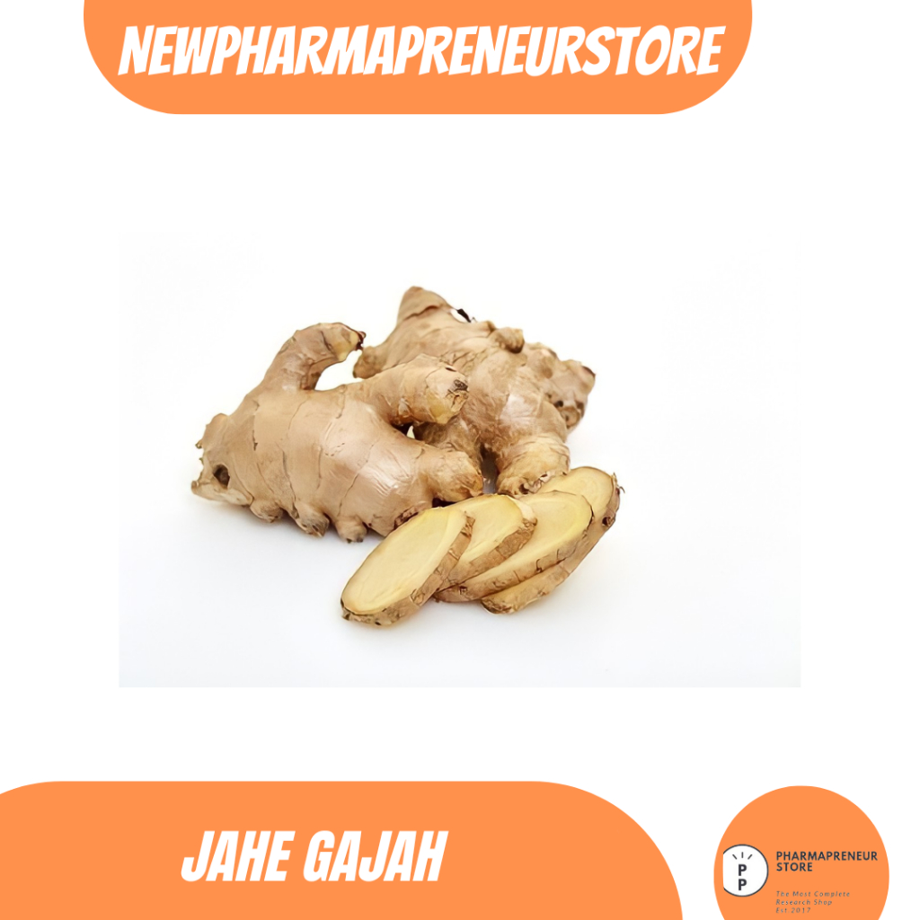 

EKSTRAK JAHE GAJAH BEST QUALITY