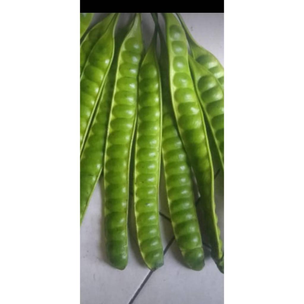 

Pete/petaitua10papan