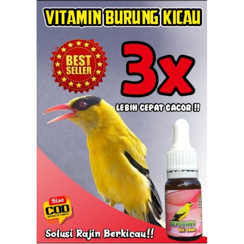 kepodang vit voice vitamin premium burung kepodang  , 100 % josss gacor    kepodang vit voice pengga