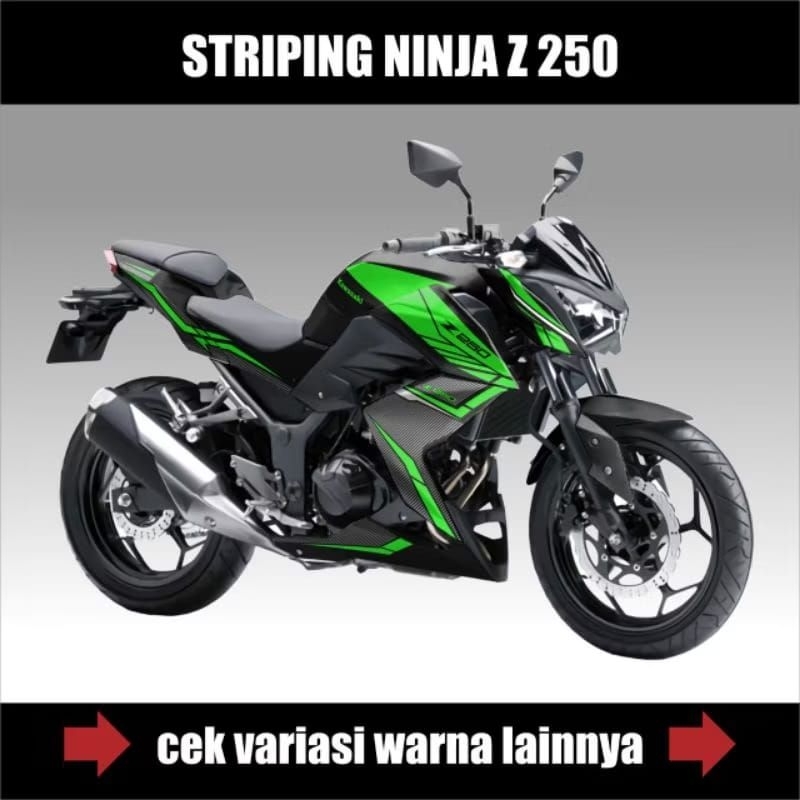 Striping Ninja Z 250 Motorcycle / Stiker Motor Ninja Z250 Semifull Grapis / Sticker Decal Kawasaki N
