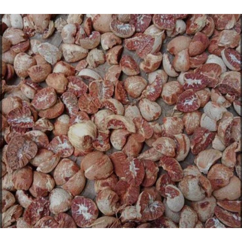 

pinang// jambe tua kering