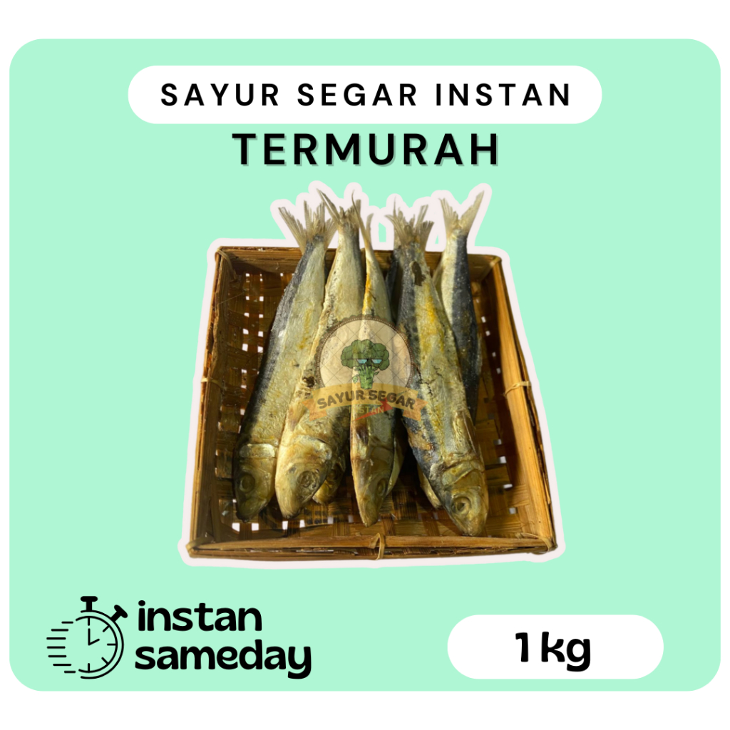 

Ikan Asin Japu Siro 1kg / Ikan Tembang