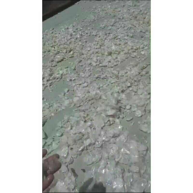 

SISIK IKAN KAKAP ORIGINAL KERING DAN BERSIH BERAT 1 KG