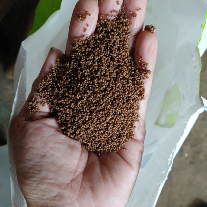 NANOLIS Pakan benih ikan lele mujaer gurami ikan hias 500g