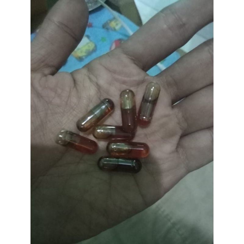 KAPSUL GENDAM RAJA IBLI*