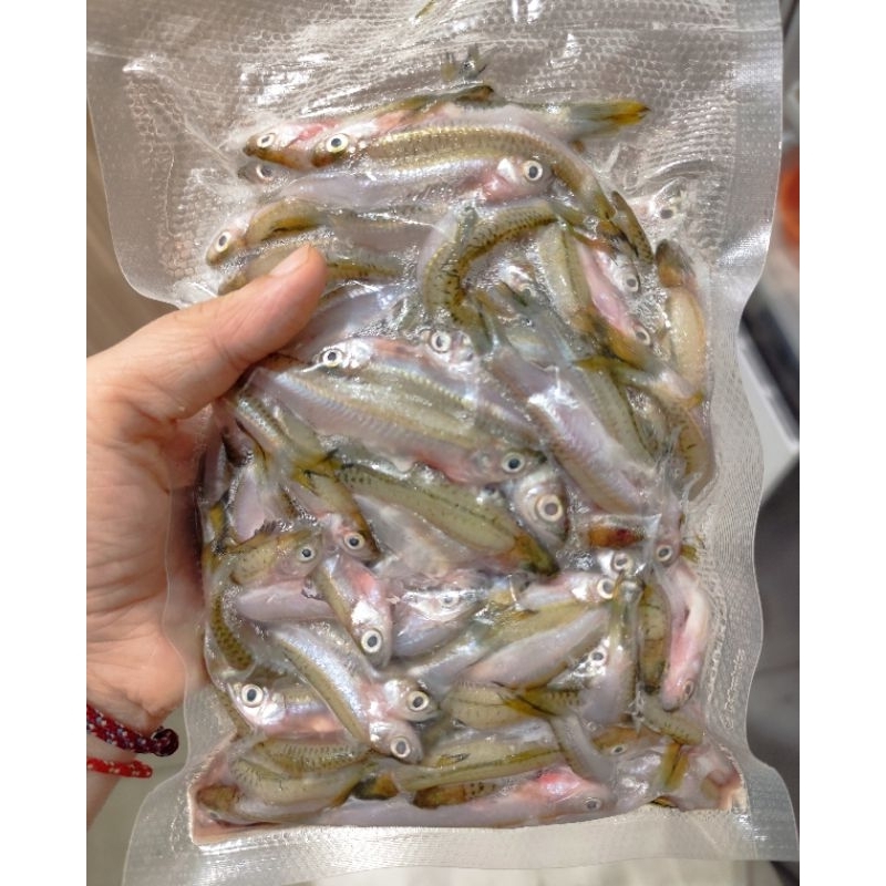 

Ikan seluang 1 pax (Sudah Bersih)