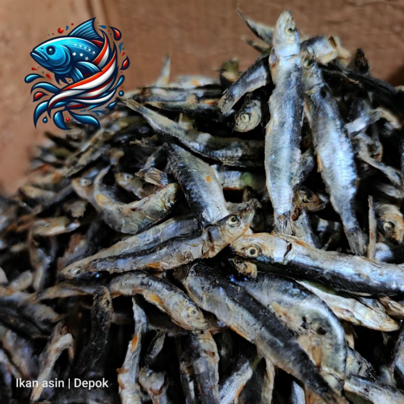 

Teri hitam | teri batu | ikan teri batu | ukuran besar