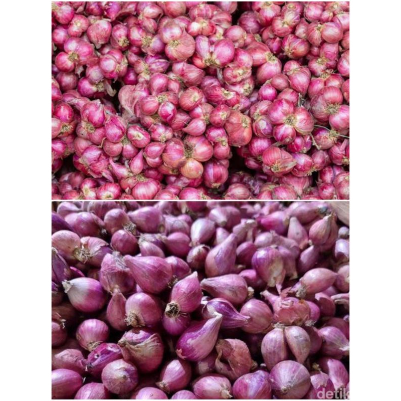 

Bawang Merah / Brambang Kualitas Super 1 Kilo