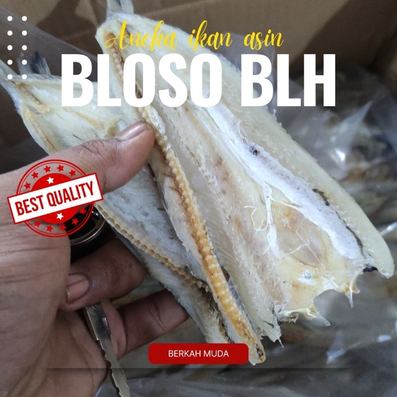 

ikan asin bloso kering/ gabus laut termurah