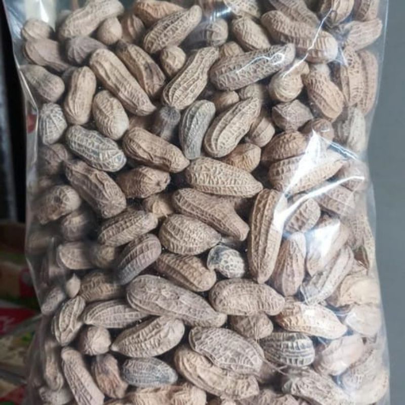 

Kacang kulit 250 gram