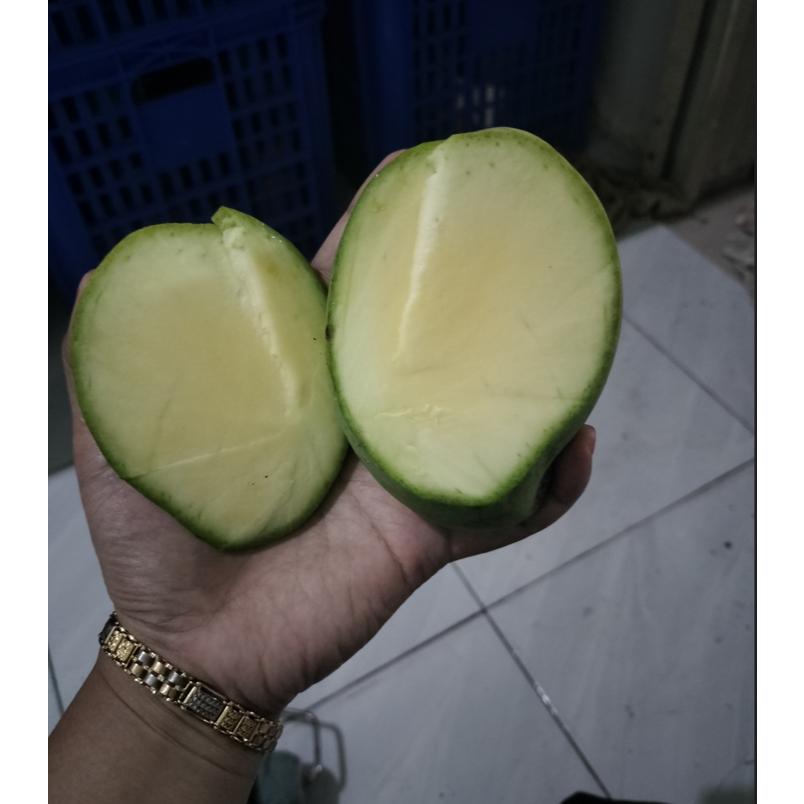 

MANGGA APEL 1KG UKURAN BISA REQUEST