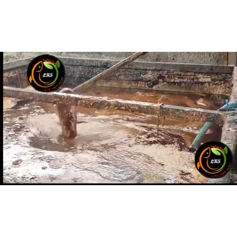 Minyak Salmon Pelet / Minyak Ikan lepas Campuran pakan ternak minyak ikan