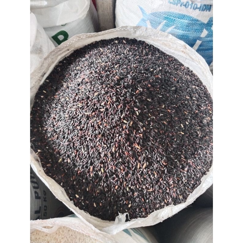 

beras ketan hitam berat 500 gram