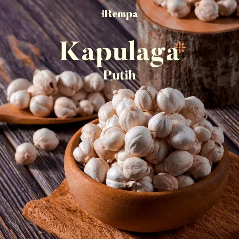 

rempah-rempah Indonesia kapulaga Jawa putih/white Cardamom